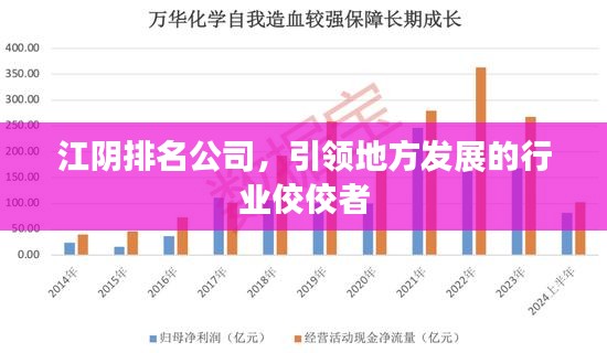 江阴排名公司，引领地方发展的行业佼佼者