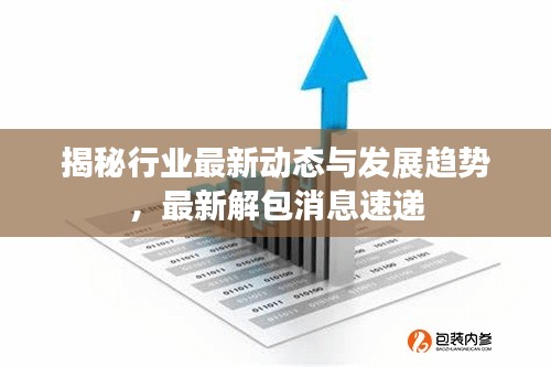 揭秘行业最新动态与发展趋势，最新解包消息速递