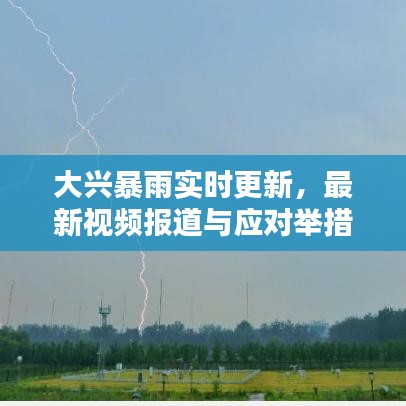 大兴暴雨实时更新，最新视频报道与应对举措