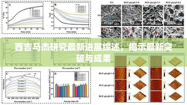 西吉马杰研究最新进展综述，揭示最新突破与成果