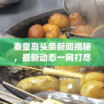 秦皇岛头条新闻揭秘，最新动态一网打尽！