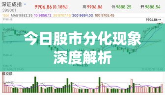 今日股市分化现象深度解析