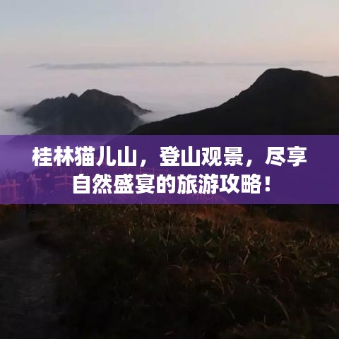 桂林猫儿山，登山观景，尽享自然盛宴的旅游攻略！