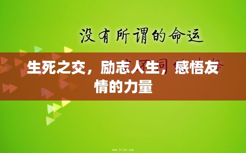 生死之交，励志人生，感悟友情的力量