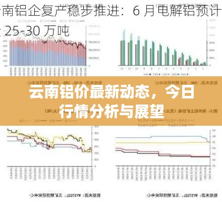 云南铝价最新动态，今日行情分析与展望