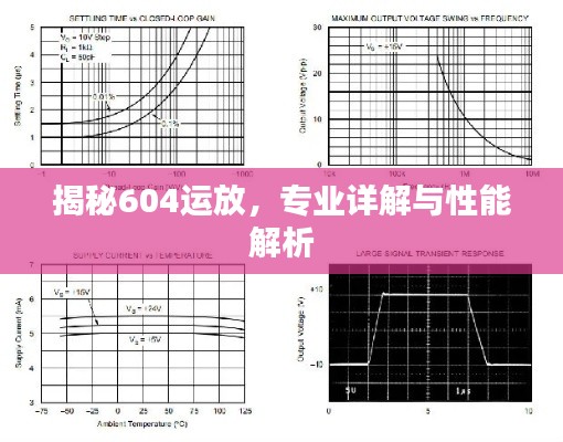 揭秘604运放，专业详解与性能解析