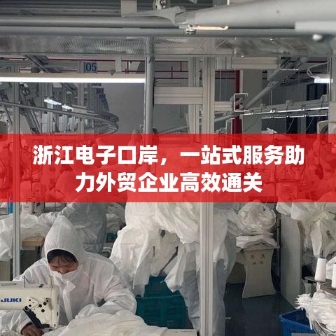 浙江电子口岸，一站式服务助力外贸企业高效通关