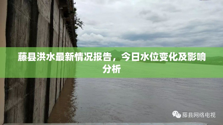 藤县洪水最新情况报告，今日水位变化及影响分析