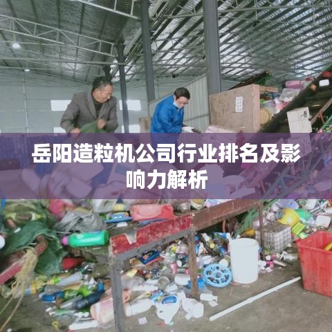 岳阳造粒机公司行业排名及影响力解析