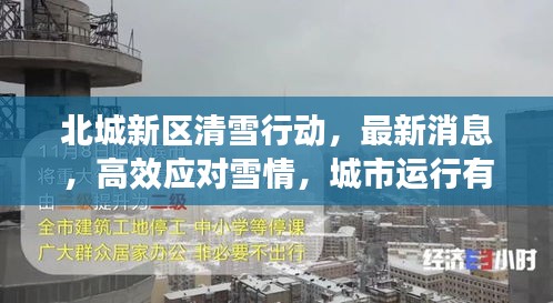 北城新区清雪行动，最新消息，高效应对雪情，城市运行有保障