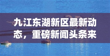 九江东湖新区最新动态，重磅新闻头条来袭！