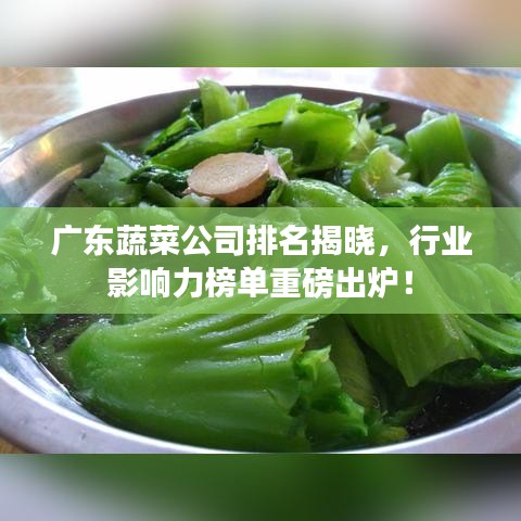 广东蔬菜公司排名揭晓，行业影响力榜单重磅出炉！