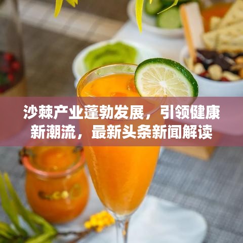 沙棘产业蓬勃发展，引领健康新潮流，最新头条新闻解读