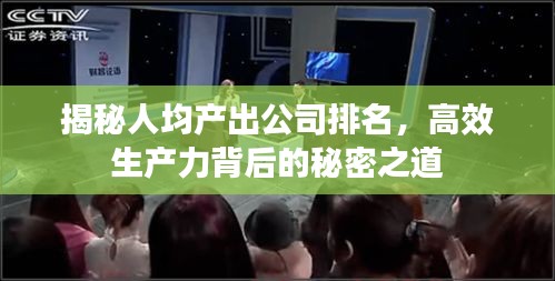 揭秘人均产出公司排名，高效生产力背后的秘密之道