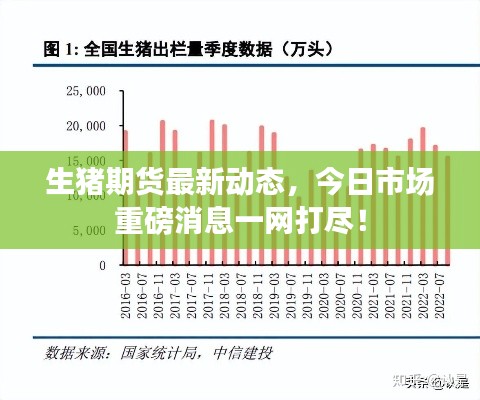 生猪期货最新动态，今日市场重磅消息一网打尽！