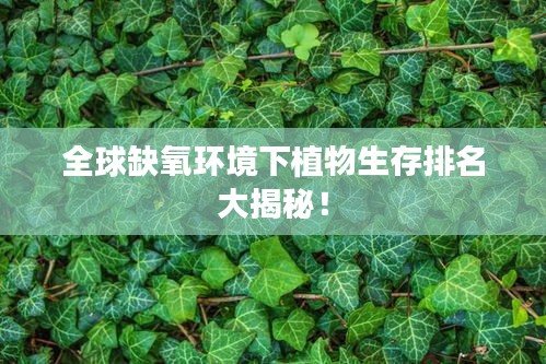 全球缺氧环境下植物生存排名大揭秘！