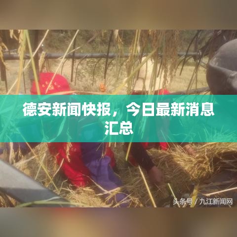 德安新闻快报，今日最新消息汇总