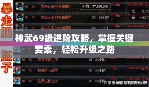 神武69级进阶攻略，掌握关键要素，轻松升级之路