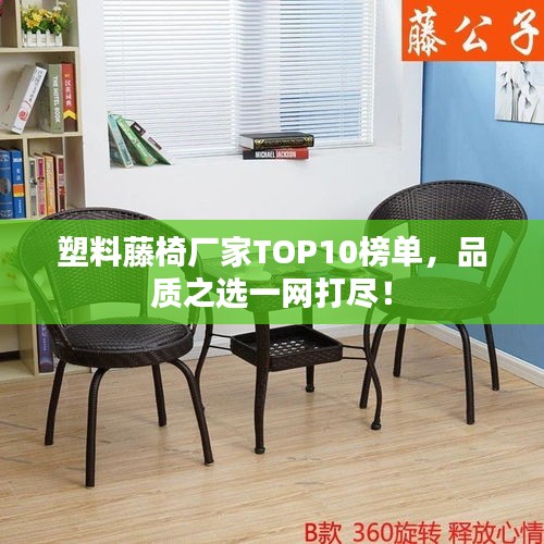 塑料藤椅厂家TOP10榜单，品质之选一网打尽！