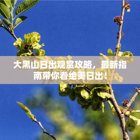 大黑山日出观赏攻略，最新指南带你看绝美日出！