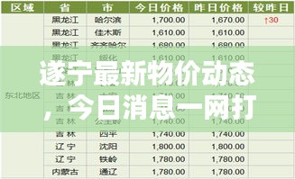 遂宁最新物价动态，今日消息一网打尽