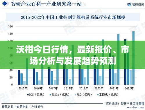 沃柑今日行情，最新报价、市场分析与发展趋势预测