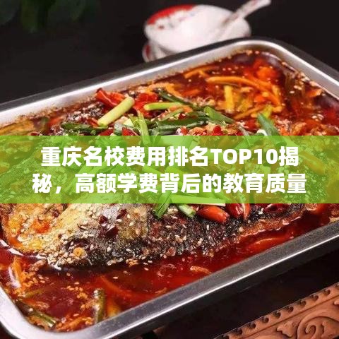 重庆名校费用排名TOP10揭秘，高额学费背后的教育质量究竟如何？