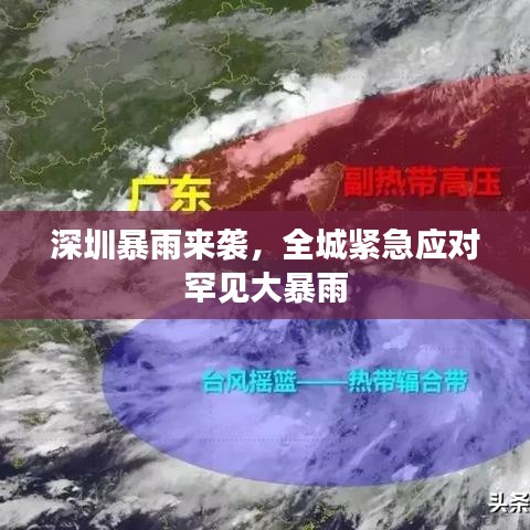 深圳暴雨来袭，全城紧急应对罕见大暴雨