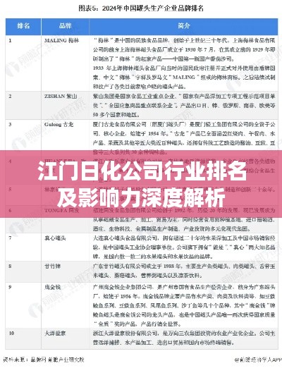 江门日化公司行业排名及影响力深度解析