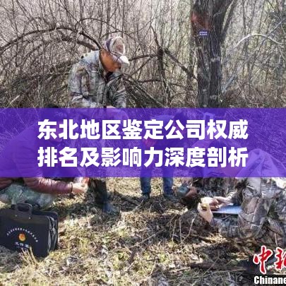 东北地区鉴定公司权威排名及影响力深度剖析