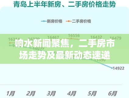 响水新闻聚焦，二手房市场走势及最新动态速递