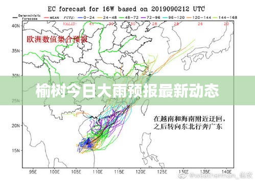 榆树今日大雨预报最新动态