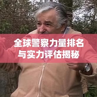 全球警察力量排名与实力评估揭秘