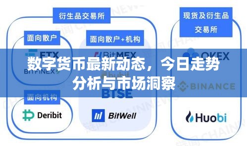 数字货币最新动态，今日走势分析与市场洞察