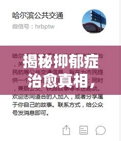 揭秘抑郁症治愈真相，能否通过百度搜索找到治愈之路？