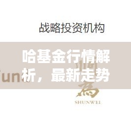 哈基金行情解析，最新走势及趋势预测