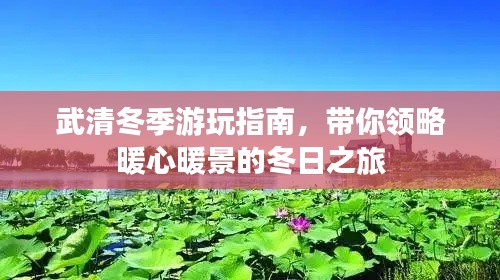 武清冬季游玩指南，带你领略暖心暖景的冬日之旅