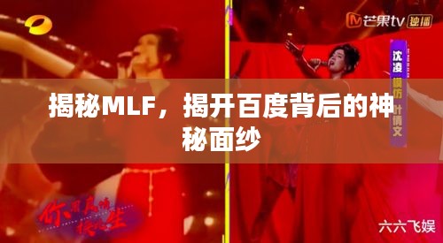 揭秘MLF，揭开百度背后的神秘面纱