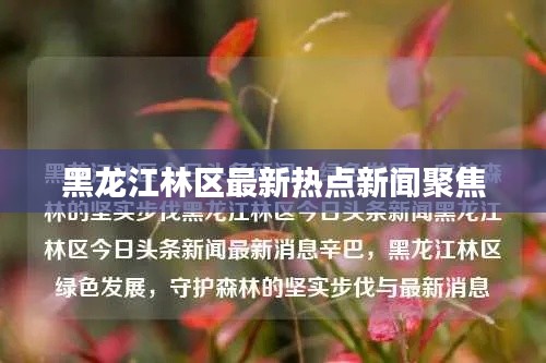 黑龙江林区最新热点新闻聚焦