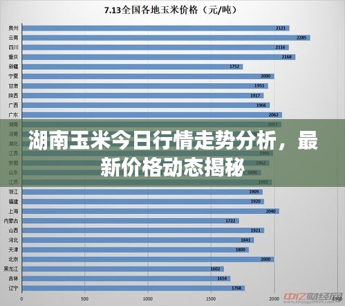 湖南玉米今日行情走势分析，最新价格动态揭秘