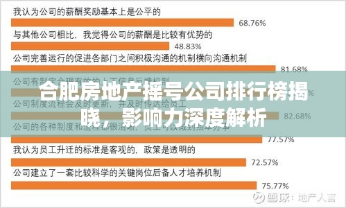 合肥房地产摇号公司排行榜揭晓，影响力深度解析