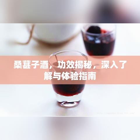 桑葚子酒，功效揭秘，深入了解与体验指南