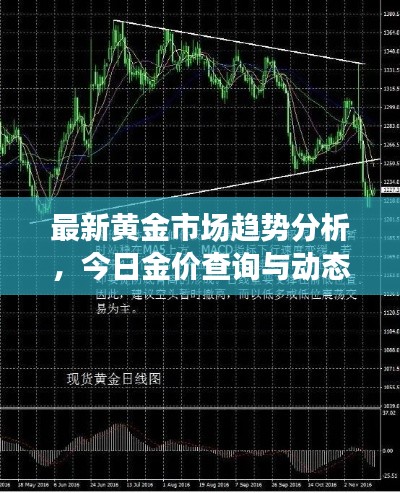 最新黄金市场趋势分析，今日金价查询与动态报告