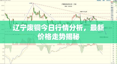 2025年2月25日 第5页