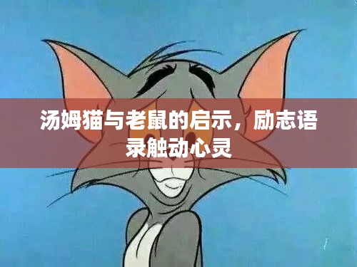 汤姆猫与老鼠的启示，励志语录触动心灵