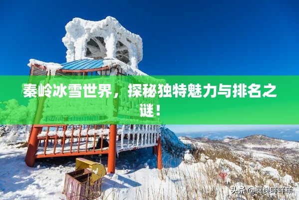 秦岭冰雪世界，探秘独特魅力与排名之谜！