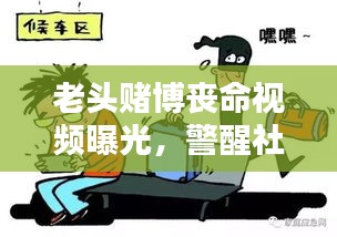 老头赌博丧命视频曝光，警醒社会的警示文章