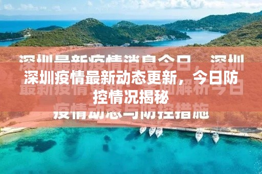 深圳疫情最新动态更新，今日防控情况揭秘