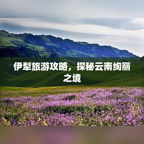 伊犁旅游攻略，探秘云南绚丽之境