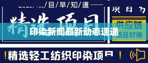 印染新闻最新动态速递